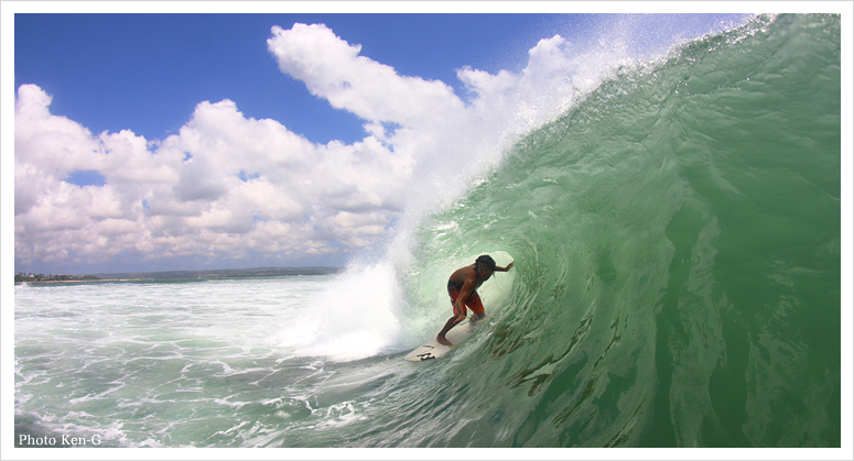 クタリーフ | KUTA LEAF