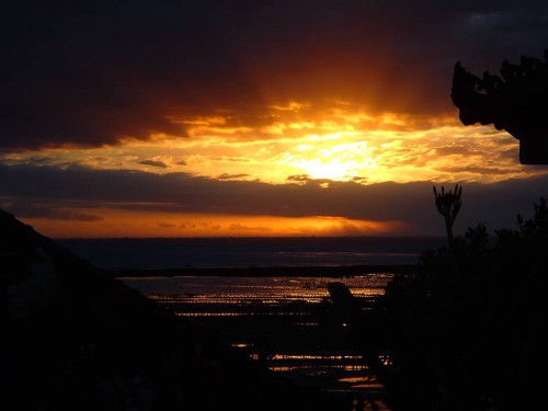 10567339_417458348397235_242761617_n