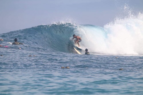 B53C03EC-590B-49DC-919D-AAFBE173BCEE